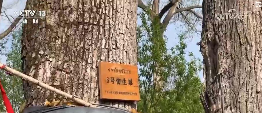 
北京儿童医院黄牛代挂号电话票贩子号贩子网上预约挂号,住院检查加快,多举措绘就生态画卷：珍稀物种种群恢复 栖息地生机盎然