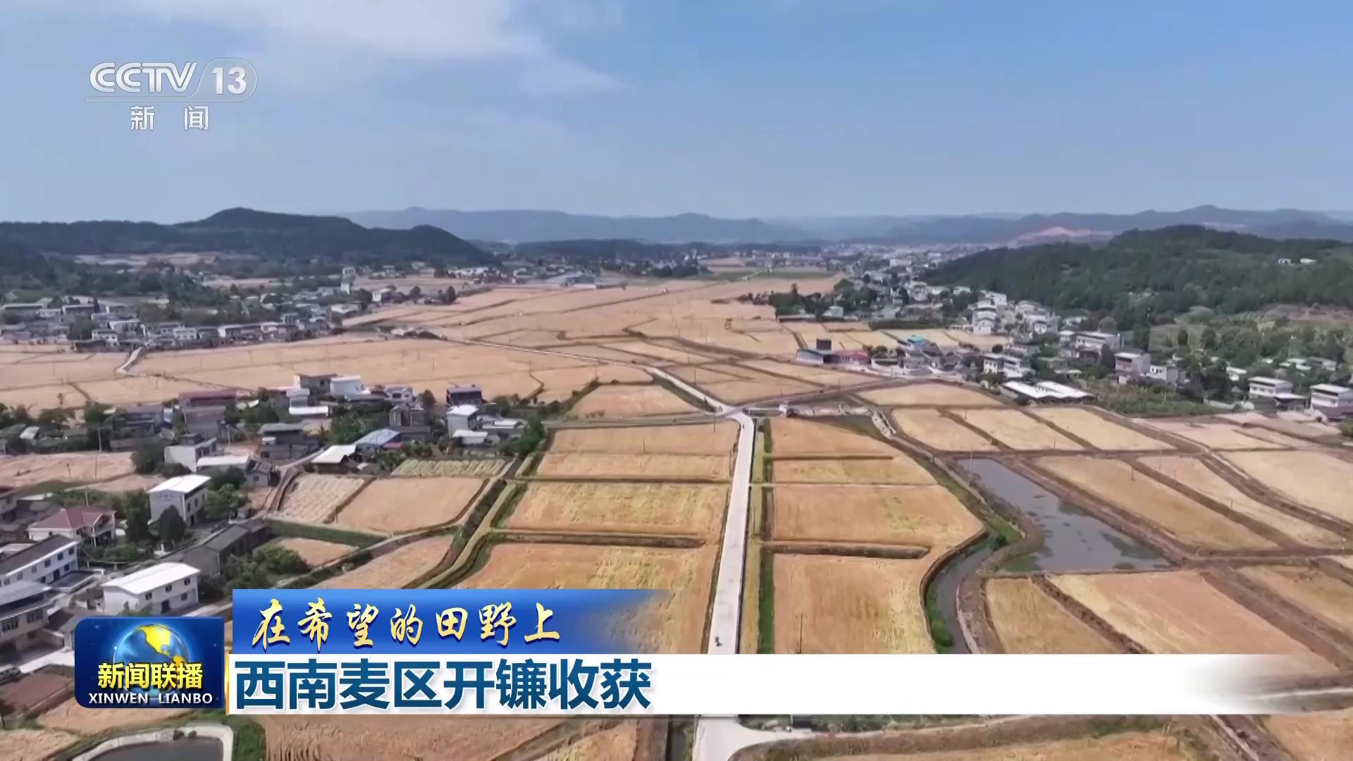 
广州中山眼科医院黄牛代挂号电话票贩子号贩子网上预约挂号,住院检查加快,【在希望的田野上】西南麦区开镰收获