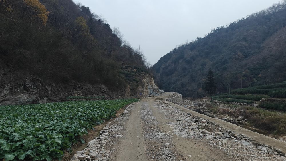 
广州中山三医院黄牛代挂号电话票贩子号贩子网上预约挂号,住院检查加快,习近平总书记关切事｜打牢社会治理的文化根基