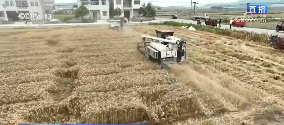 
北京大学第六医院黄牛代挂号电话票贩子号贩子网上预约挂号,住院检查加快,科技助力“三夏”开启“加速度” 广袤田野唱响丰收赞歌