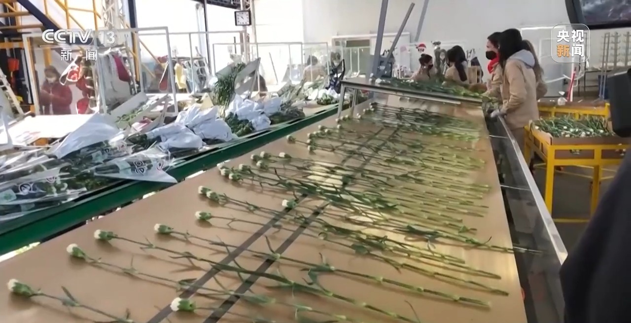 
杭州市第一人民医院黄牛代挂号电话票贩子号贩子网上预约挂号,住院检查加快,新闻周刊丨中拉合作，展望下一个十年