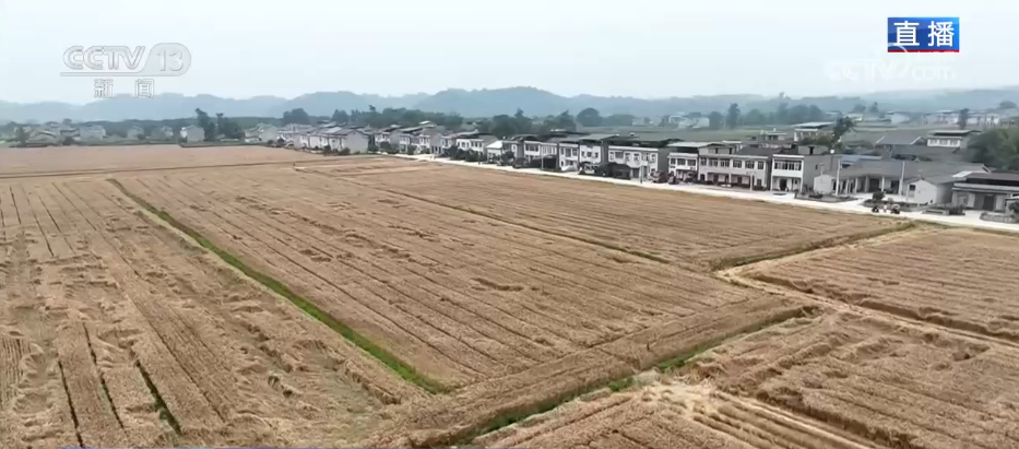 
北京大学第六医院黄牛代挂号电话票贩子号贩子网上预约挂号,住院检查加快,科技助力“三夏”开启“加速度” 广袤田野唱响丰收赞歌