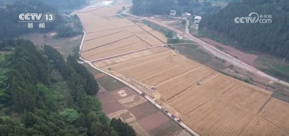 
上海各大医院黄牛代挂号电话票贩子号贩子网上预约挂号,住院检查加快,“新农机+新品种”助力增产增收 在希望的田野上 “丰”景可期
