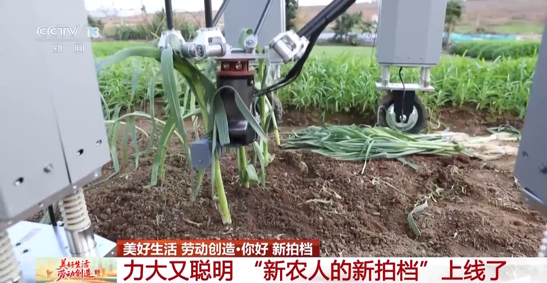 
天津眼科医院黄牛代挂号电话票贩子号贩子网上预约挂号,住院检查加快,力大又聪明 “新农人”的新拍档上线了