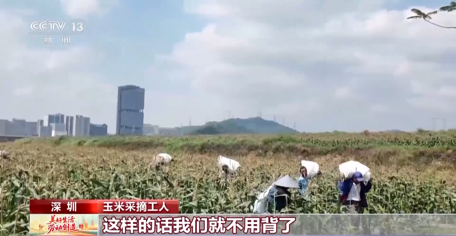 
天津眼科医院黄牛代挂号电话票贩子号贩子网上预约挂号,住院检查加快,力大又聪明 “新农人”的新拍档上线了
