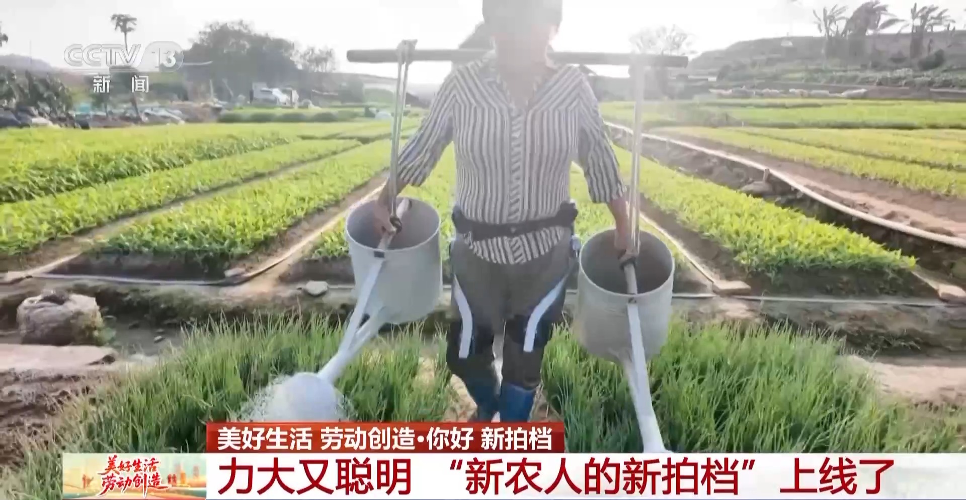 
天津眼科医院黄牛代挂号电话票贩子号贩子网上预约挂号,住院检查加快,力大又聪明 “新农人”的新拍档上线了