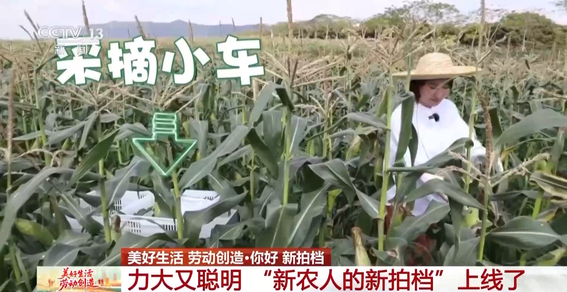 
天津眼科医院黄牛代挂号电话票贩子号贩子网上预约挂号,住院检查加快,力大又聪明 “新农人”的新拍档上线了