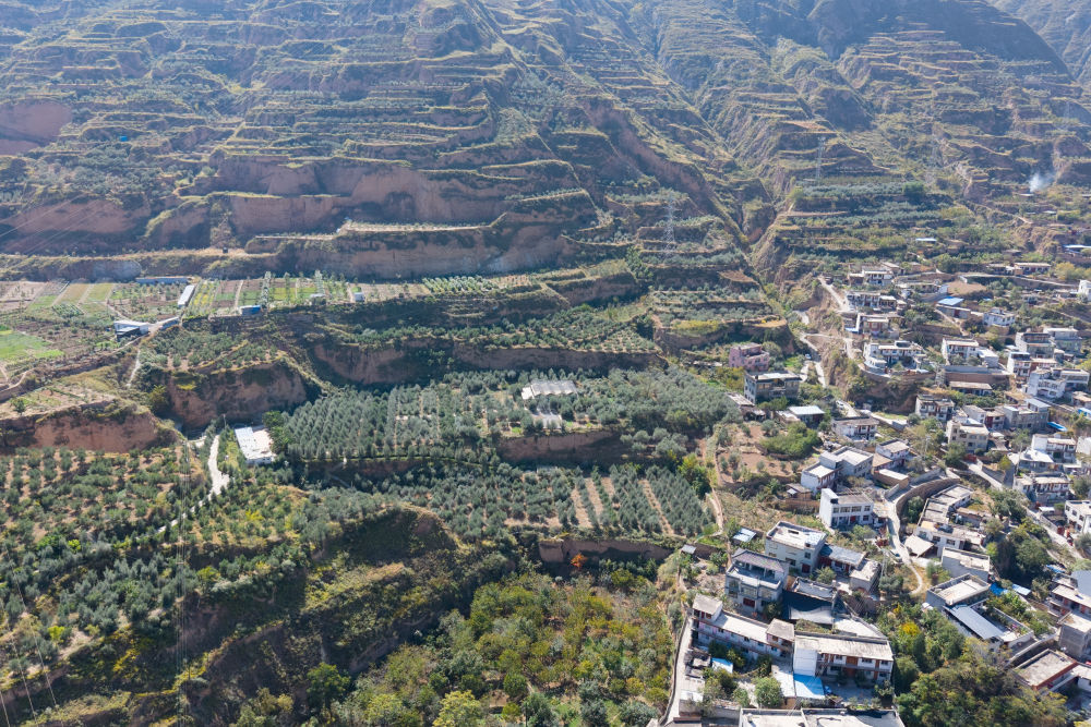 
南京明基医院黄牛代挂号电话票贩子号贩子网上预约挂号,住院检查加快,中国经济样本观察·“镇”了不起｜地中海舶来的“金果果”，榨出40亿元“油产业”