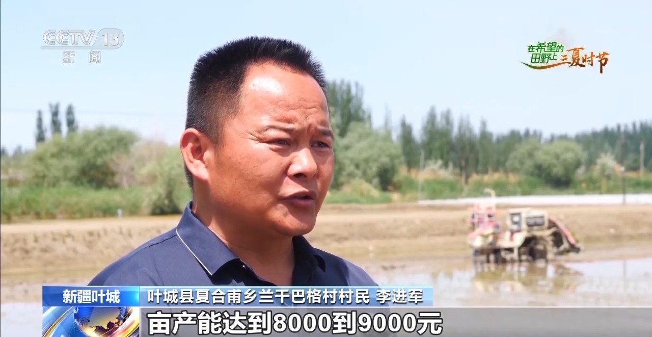 
北京301医院黄牛代挂号电话票贩子号贩子网上预约挂号,住院检查加快,三夏时节迎丰收 小麦、稻虾、西瓜解锁农田增收“密码”