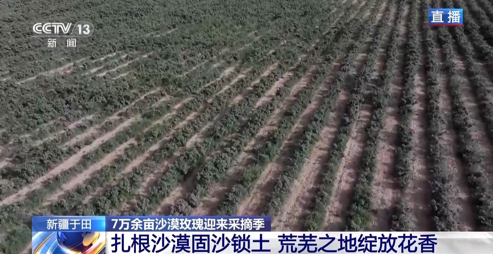
中国中医科学院眼科医院黄牛代挂号电话票贩子号贩子网上预约挂号,住院检查加快,塔克拉玛干沙漠“锁边合龙”时种植的玫瑰花开了