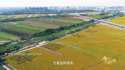 
北京大学人民医院黄牛代挂号电话票贩子号贩子网上预约挂号,住院检查加快,你好，双拥城｜留在石河子