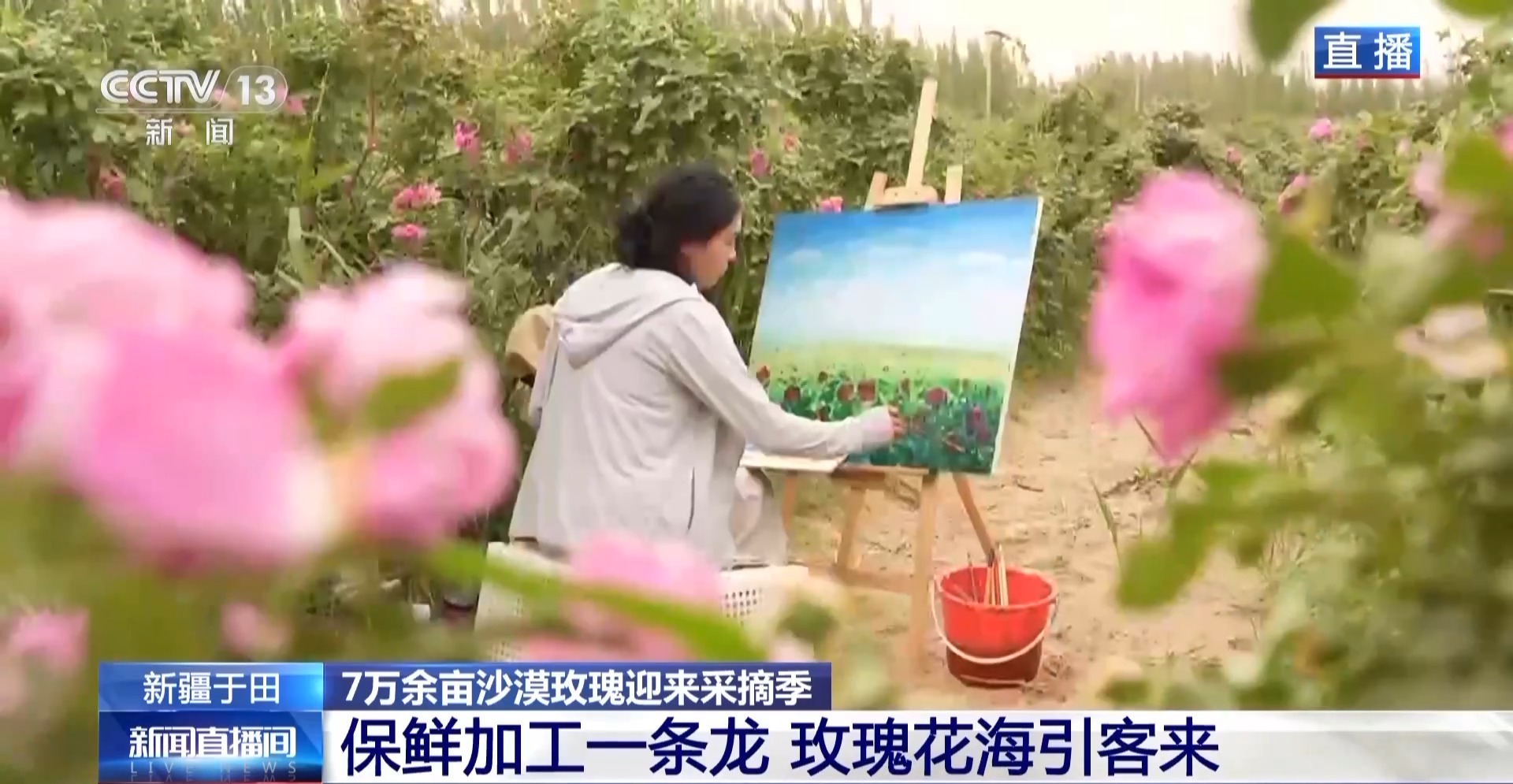 
中国中医科学院眼科医院黄牛代挂号电话票贩子号贩子网上预约挂号,住院检查加快,塔克拉玛干沙漠“锁边合龙”时种植的玫瑰花开了