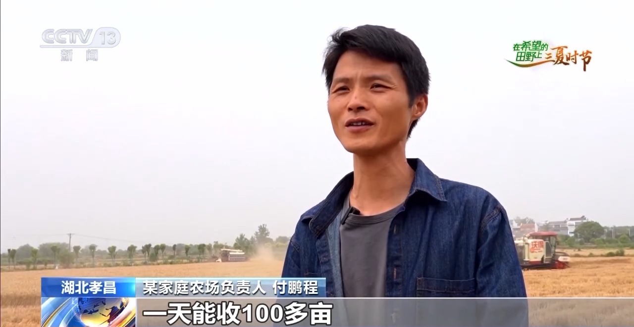 
北京301医院黄牛代挂号电话票贩子号贩子网上预约挂号,住院检查加快,三夏时节迎丰收 小麦、稻虾、西瓜解锁农田增收“密码”