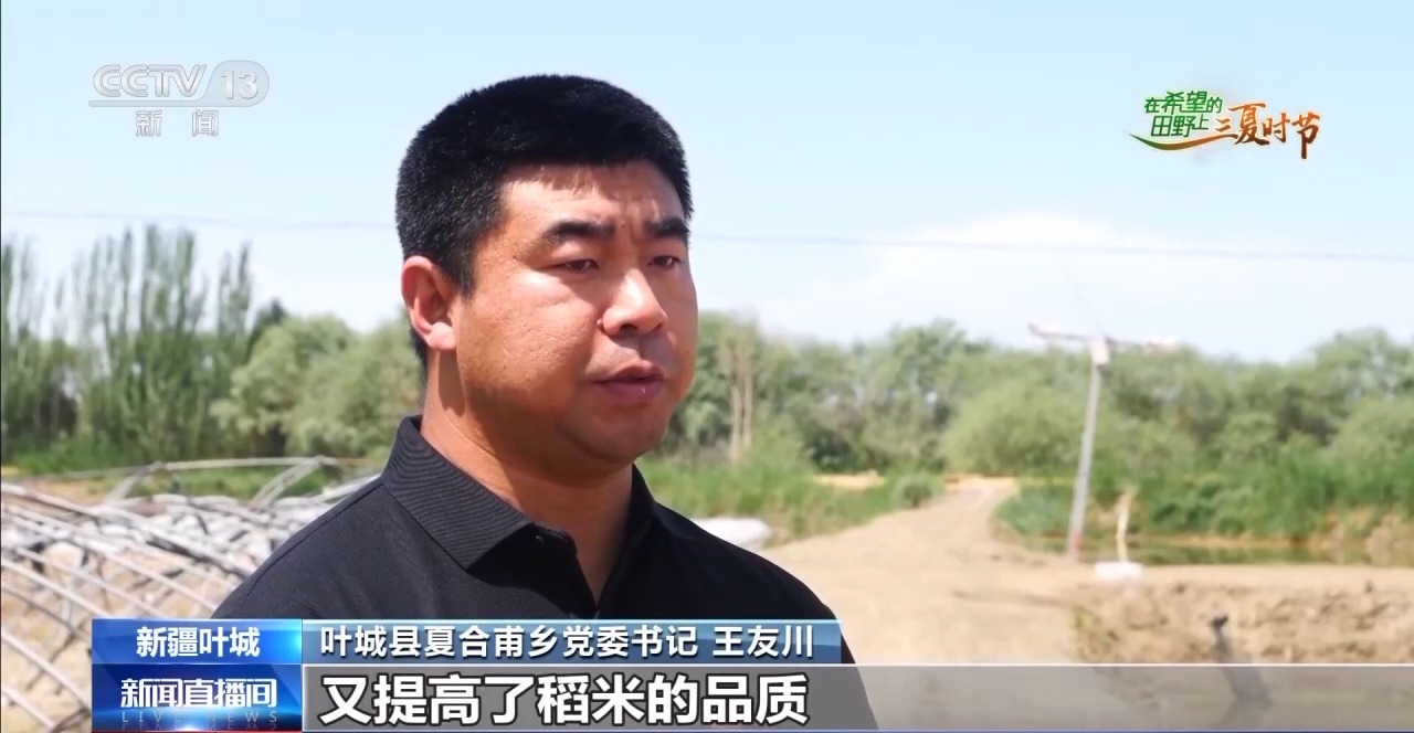 
北京301医院黄牛代挂号电话票贩子号贩子网上预约挂号,住院检查加快,三夏时节迎丰收 小麦、稻虾、西瓜解锁农田增收“密码”