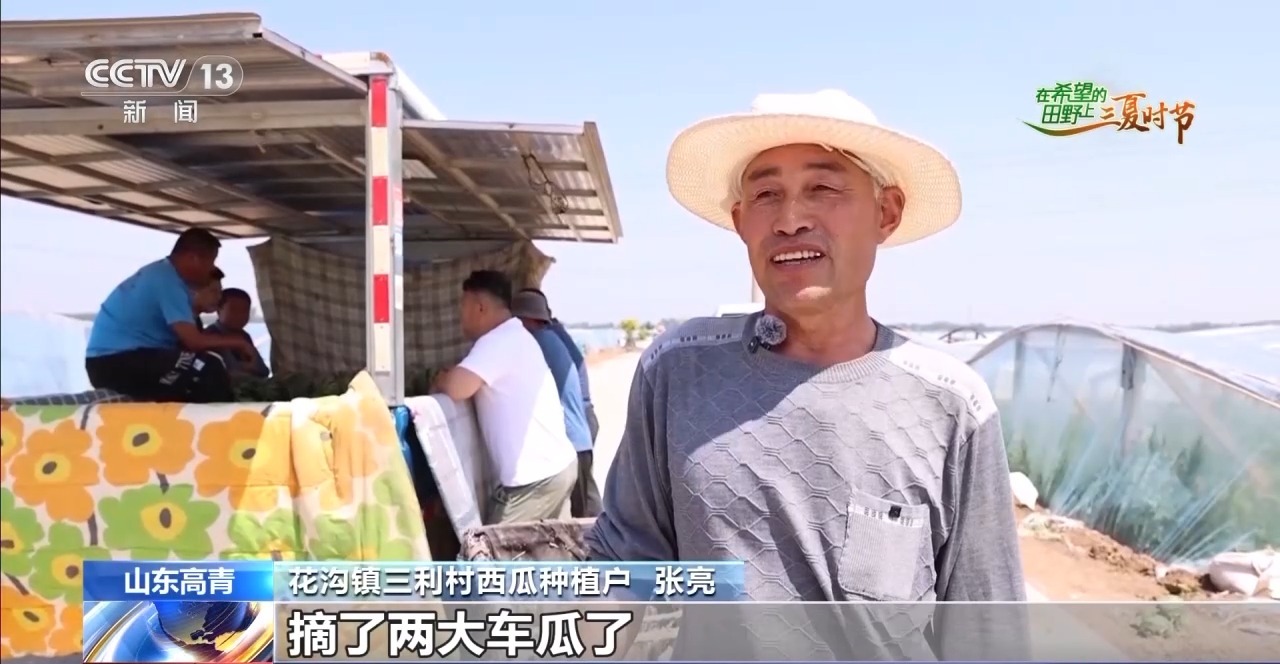 
北京301医院黄牛代挂号电话票贩子号贩子网上预约挂号,住院检查加快,三夏时节迎丰收 小麦、稻虾、西瓜解锁农田增收“密码”