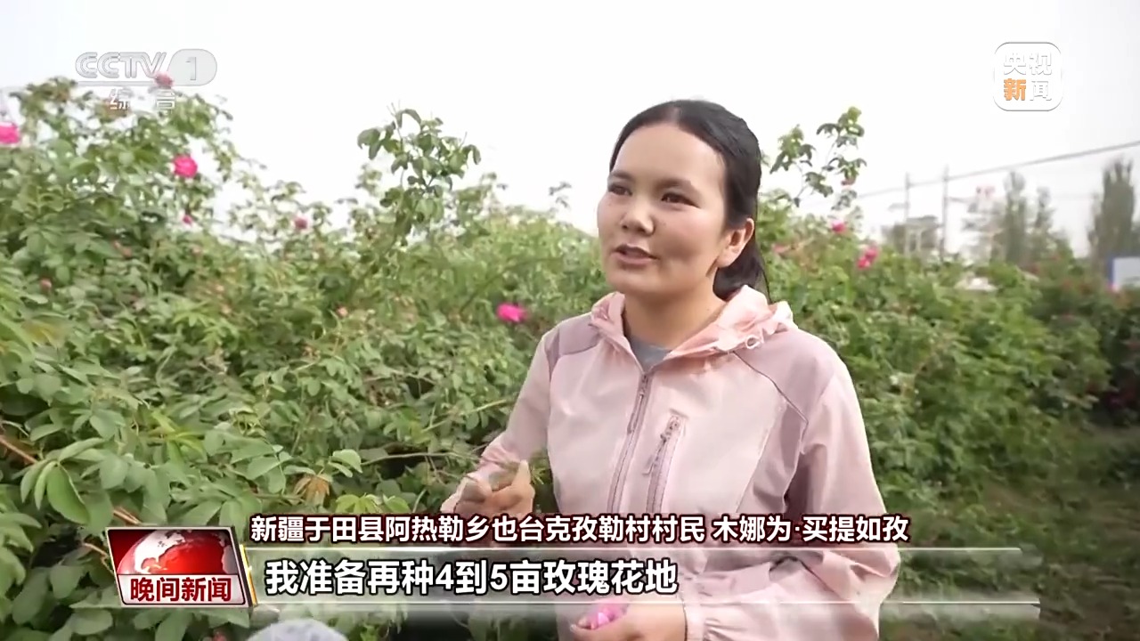 
北京同仁医院黄牛代挂号电话票贩子号贩子网上预约挂号,住院检查加快,既防风固沙又助农增收 沙漠玫瑰带动多产业发展