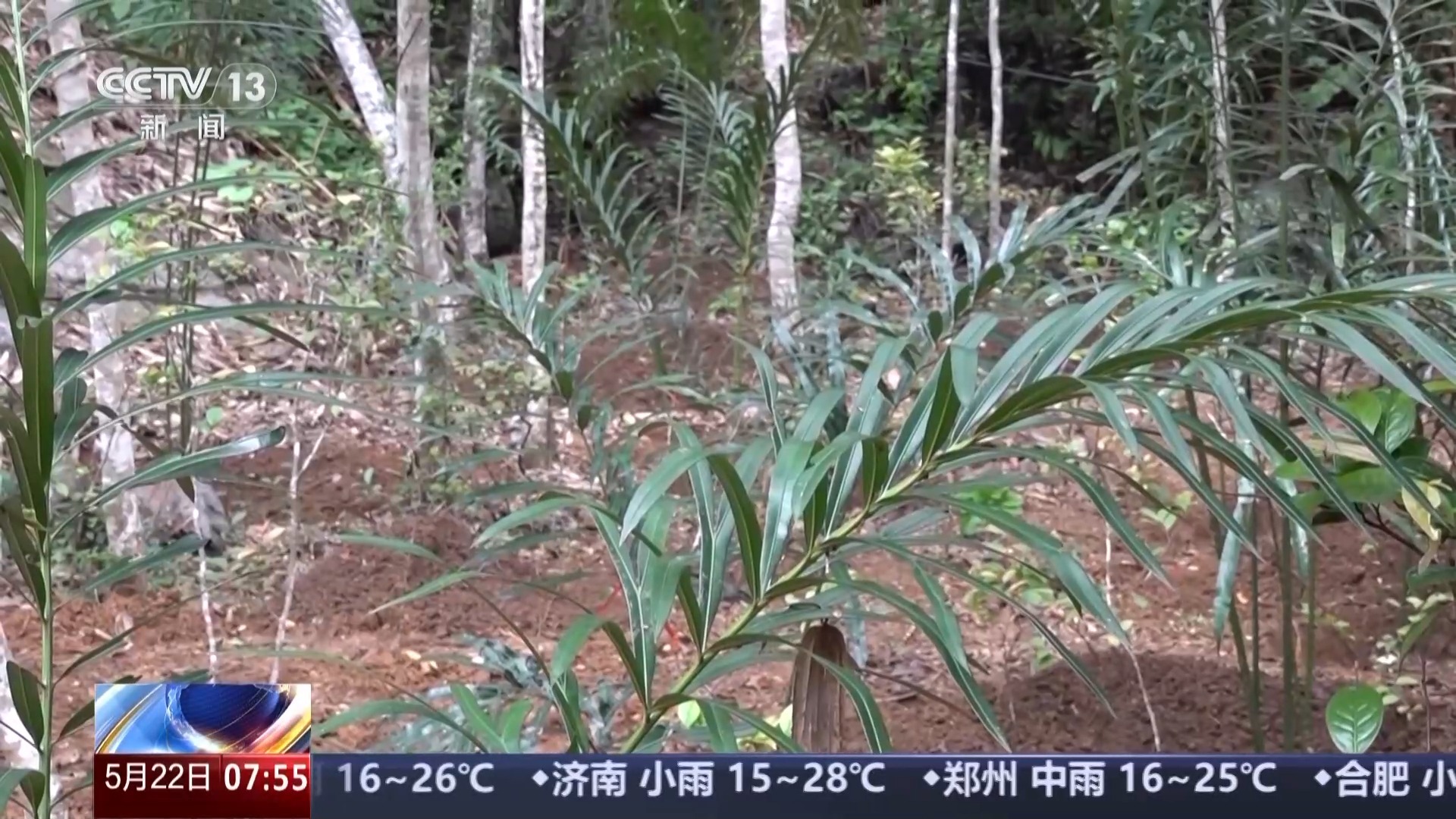 
上海儿童医学中心黄牛代挂号电话票贩子号贩子网上预约挂号,住院检查加快,我国生物多样性保护成效如何？这份“成绩单”亮了