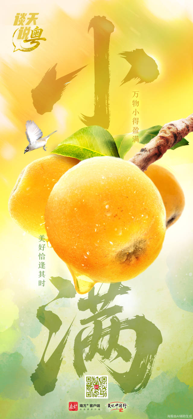 
杭州市三医院黄牛代挂号电话票贩子号贩子网上预约挂号,住院检查加快,文化中国行·小满 | 万物小得盈满，美好恰逢其时