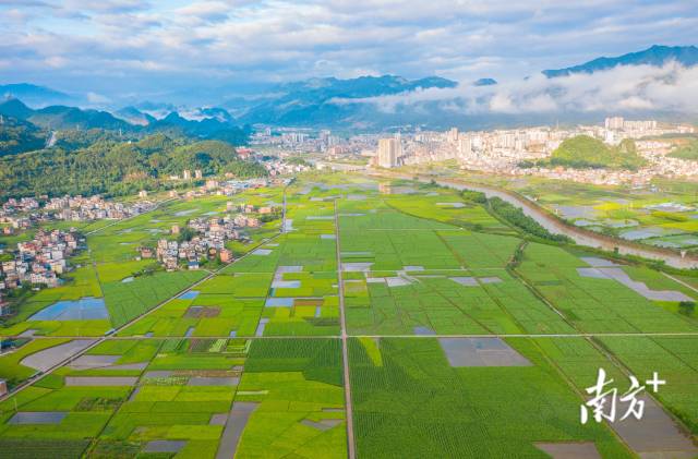 
杭州市三医院黄牛代挂号电话票贩子号贩子网上预约挂号,住院检查加快,文化中国行·小满 | 万物小得盈满，美好恰逢其时