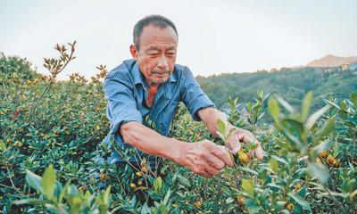 
广东省人民医院黄牛代挂号电话票贩子号贩子网上预约挂号,住院检查加快,用光影记录乡村全面振兴新画卷（新时代画卷）