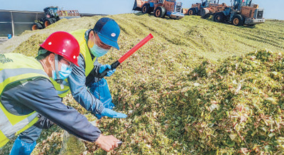 
广东省人民医院黄牛代挂号电话票贩子号贩子网上预约挂号,住院检查加快,用光影记录乡村全面振兴新画卷（新时代画卷）