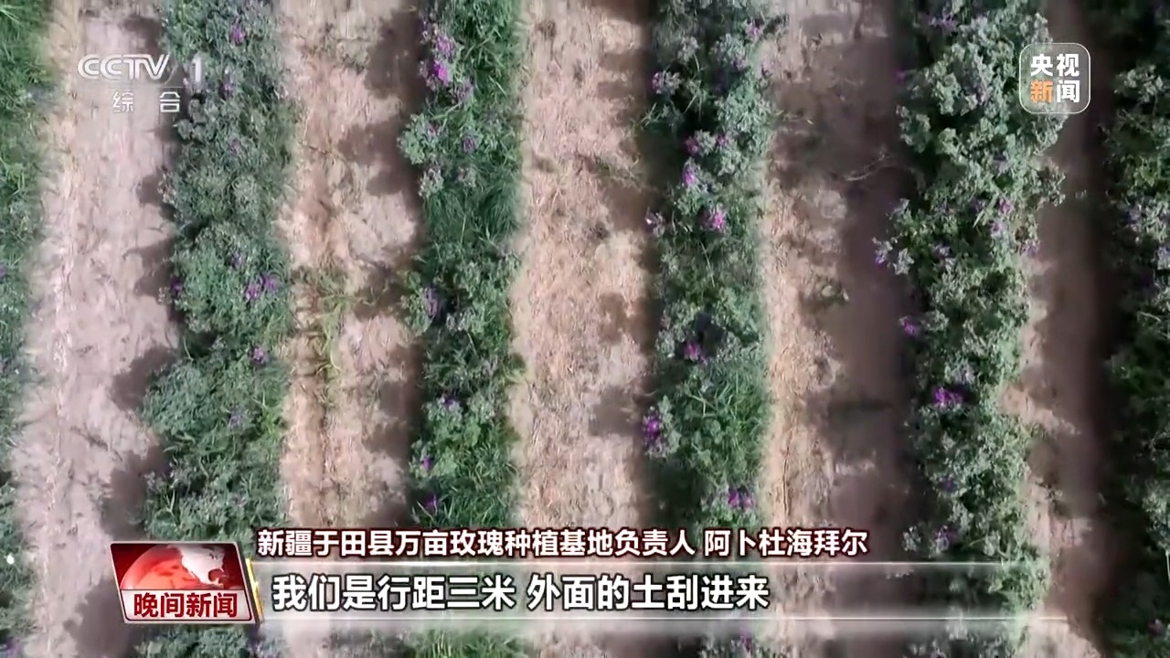 
北京同仁医院黄牛代挂号电话票贩子号贩子网上预约挂号,住院检查加快,既防风固沙又助农增收 沙漠玫瑰带动多产业发展