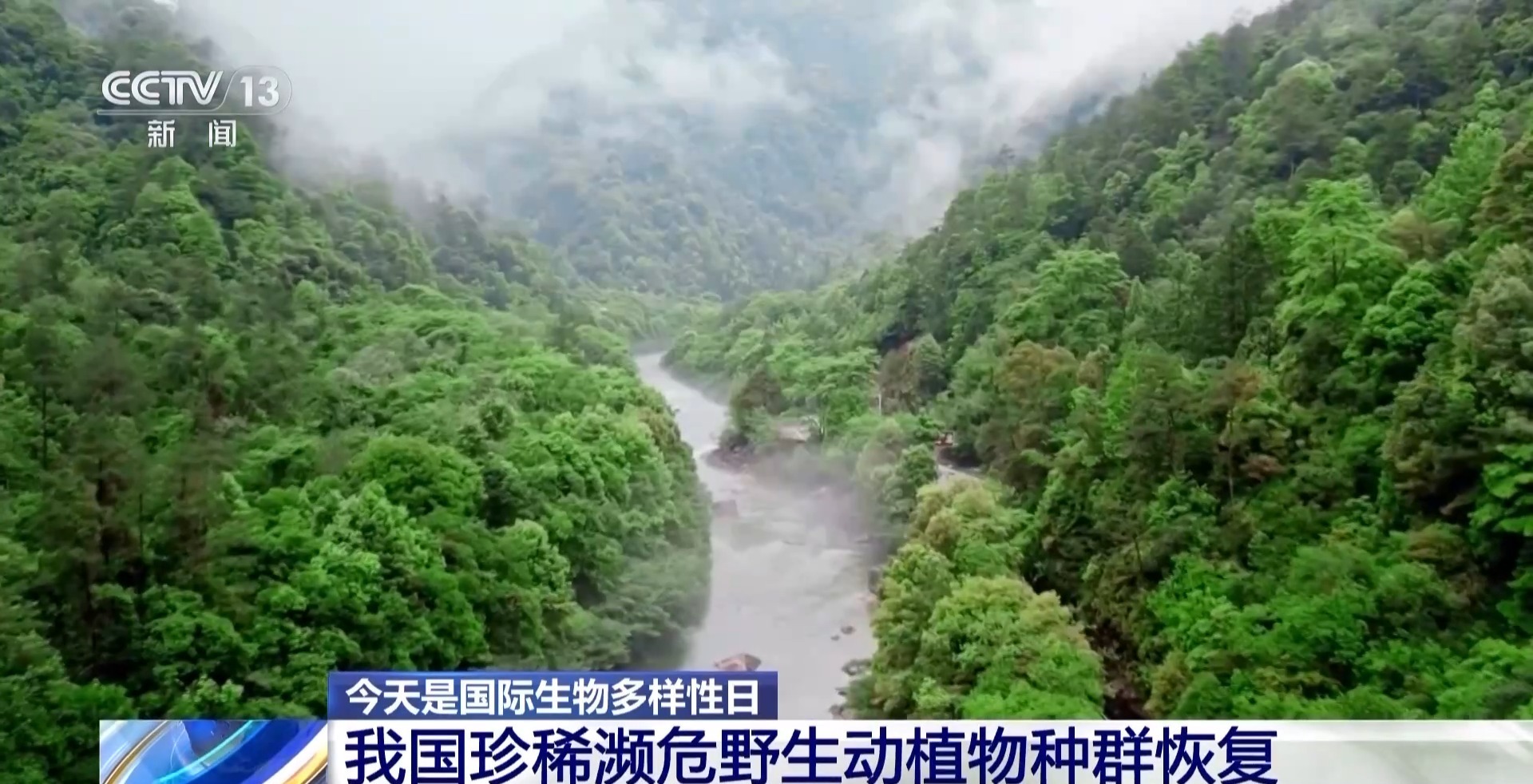 
上海儿童医学中心黄牛代挂号电话票贩子号贩子网上预约挂号,住院检查加快,我国生物多样性保护成效如何？这份“成绩单”亮了