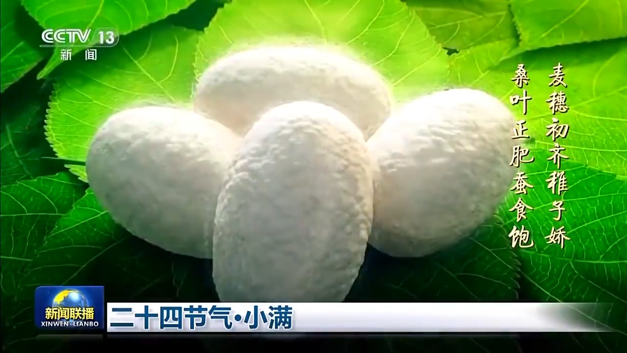 
广州中医药大学一附医院黄牛代挂号电话票贩子号贩子网上预约挂号,住院检查加快,文化中国行丨二十四节气·小满 小满者，物至于此小得盈满