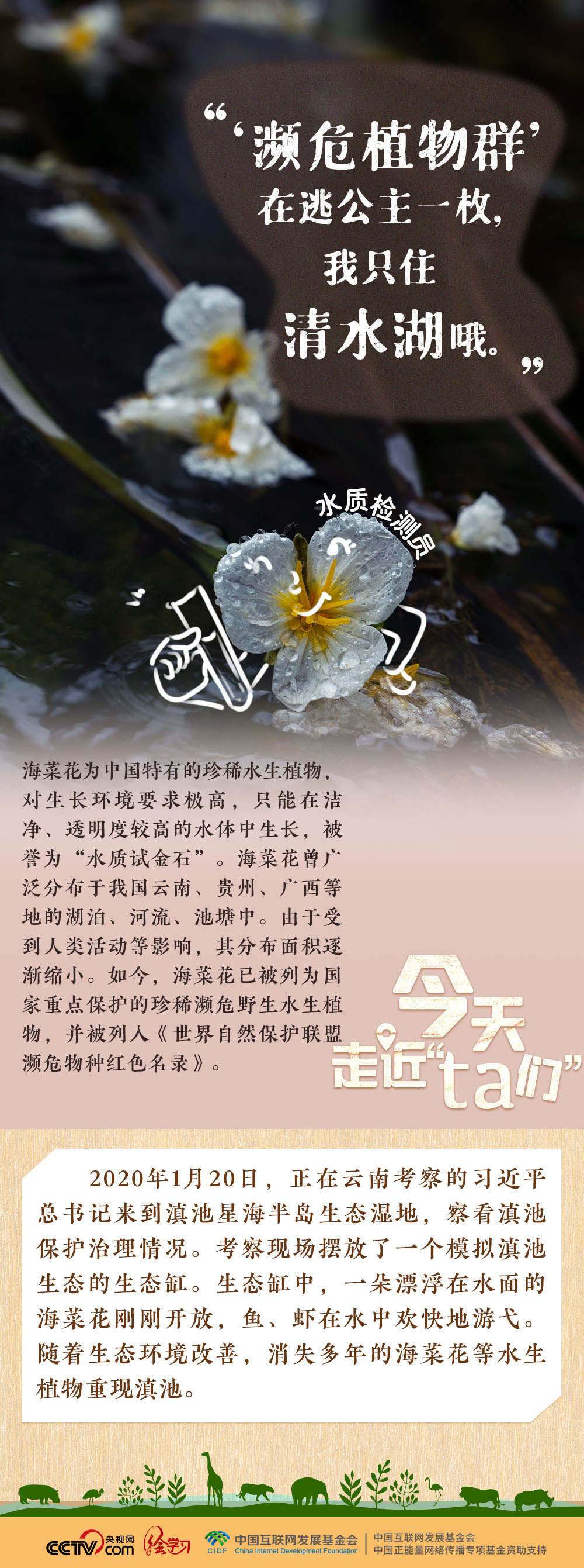 
山东大学齐鲁医院黄牛代挂号电话票贩子号贩子网上预约挂号,住院检查加快,天天学习｜习近平特别关注的“TA们”