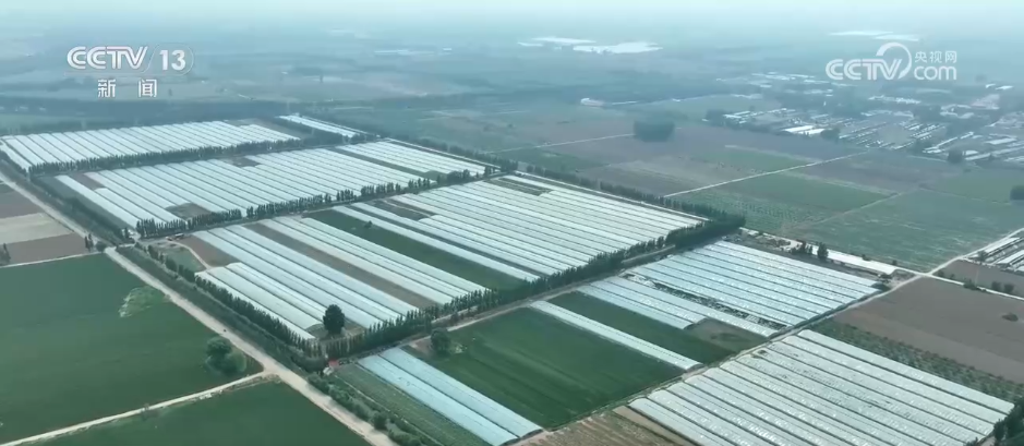 
北京八大处整形医院黄牛代挂号电话票贩子号贩子网上预约挂号,住院检查加快,特色产业成为村民增收致富“良方” 小“莓”好串起乡村致富链