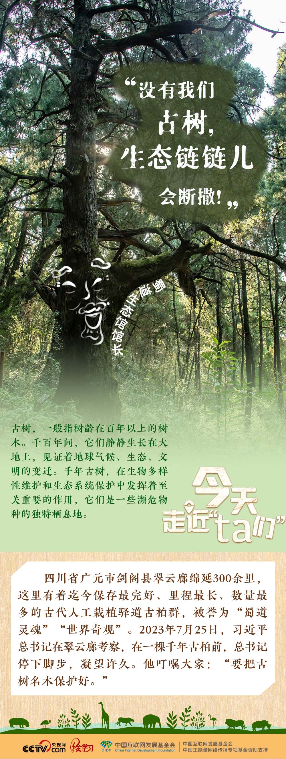 
山东大学齐鲁医院黄牛代挂号电话票贩子号贩子网上预约挂号,住院检查加快,天天学习｜习近平特别关注的“TA们”