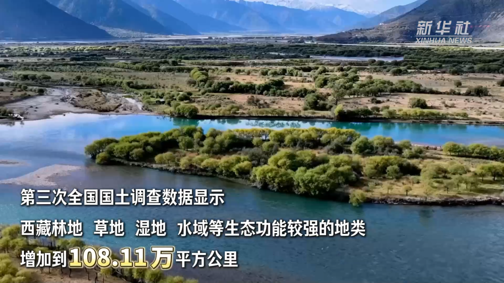 
中国中医科学院眼科医院黄牛代挂号电话票贩子号贩子网上预约挂号,住院检查加快,西藏和平解放74周年·生态有守护