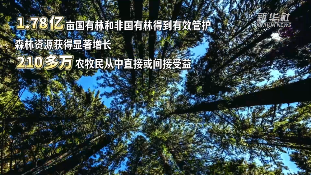 
中国中医科学院眼科医院黄牛代挂号电话票贩子号贩子网上预约挂号,住院检查加快,西藏和平解放74周年·生态有守护