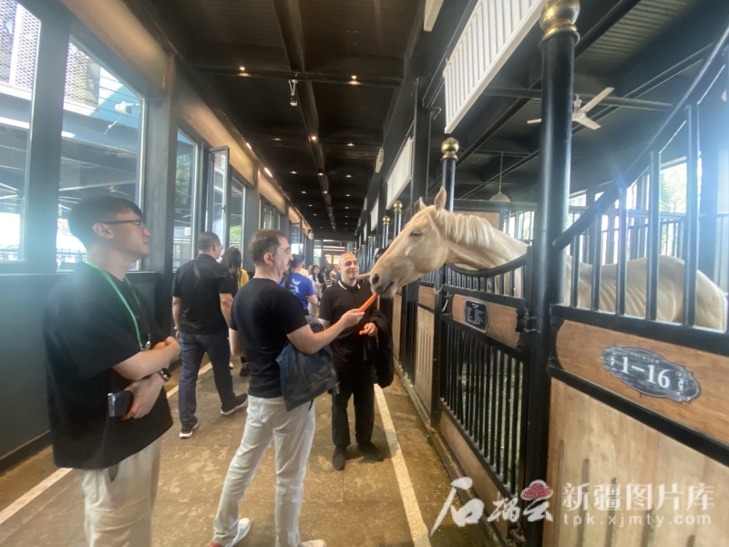
沈阳医大一院黄牛代挂号电话票贩子号贩子网上预约挂号,住院检查加快,媒体大咖看新疆丨“中国新疆的城市非常繁华，处处都充满活力”