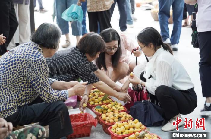 
中山二院黄牛代挂号电话票贩子号贩子网上预约挂号,住院检查加快,（乡村行·看振兴）浙江曹宅“小枇杷”撬动“大产业”：一处丰收甜万家