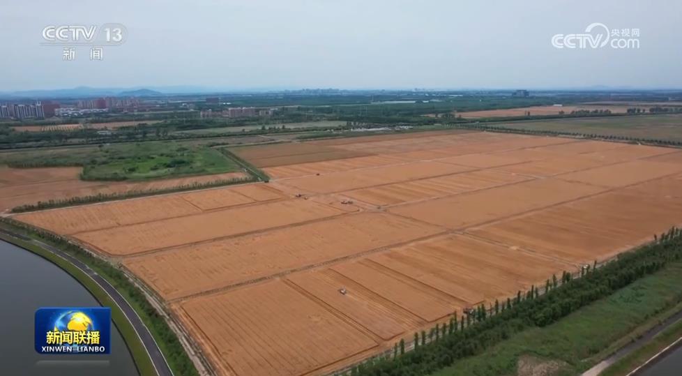 
北京安定医院黄牛代挂号电话票贩子号贩子网上预约挂号,住院检查加快,【在希望的田野上·三夏时节】我国夏粮大规模机收全面展开