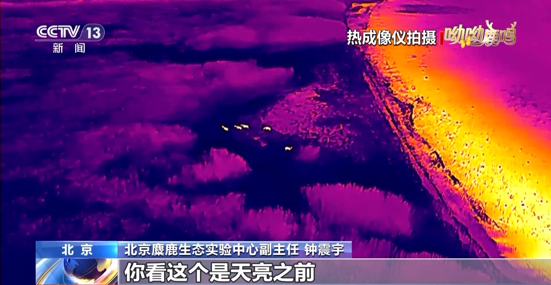
山东大学齐鲁医院黄牛代挂号电话票贩子号贩子网上预约挂号,住院检查加快,半年绕洞庭湖一圈 这只麋鹿爱“溜达”