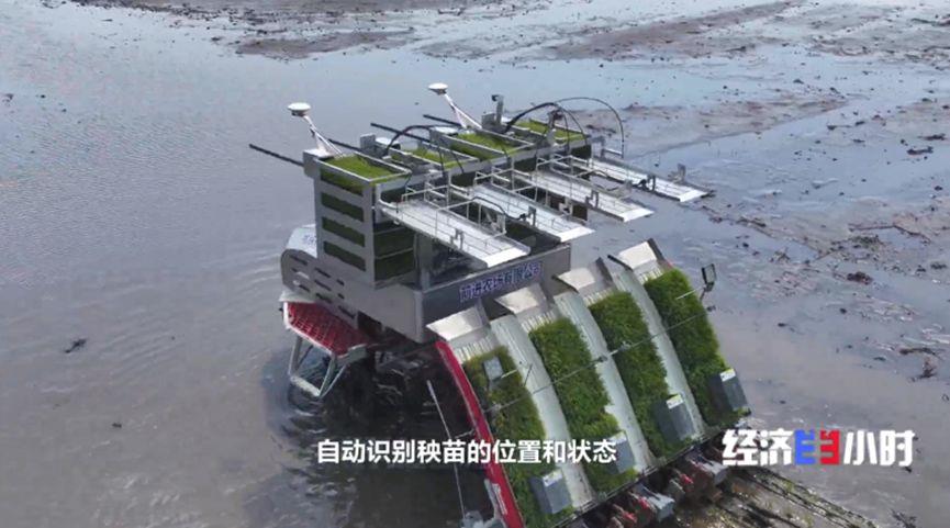 
上海第九人民医院黄牛代挂号电话票贩子号贩子网上预约挂号,住院检查加快,大数据育种、机器人嫁接、无人机施肥…智慧农机十八般武艺齐上阵