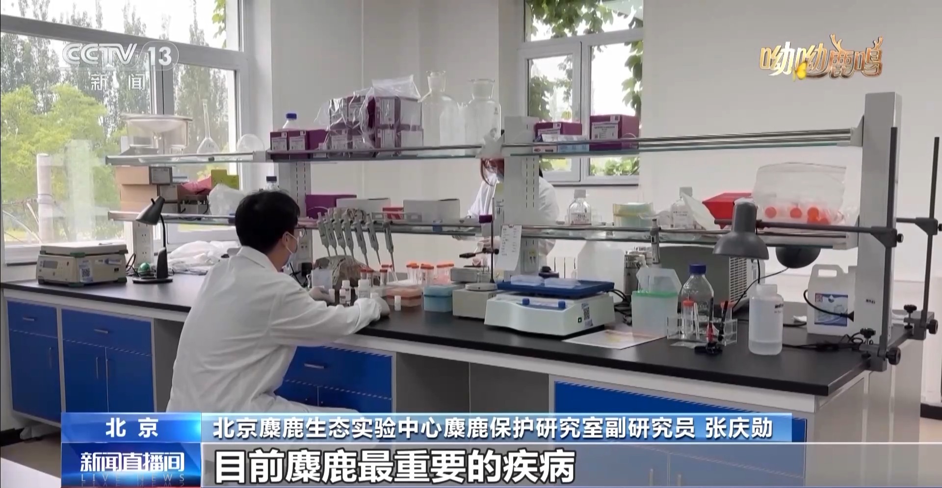 
天津眼科医院黄牛代挂号电话票贩子号贩子网上预约挂号,住院检查加快,科技手段助麋鹿可持续发展 记者实地探访→