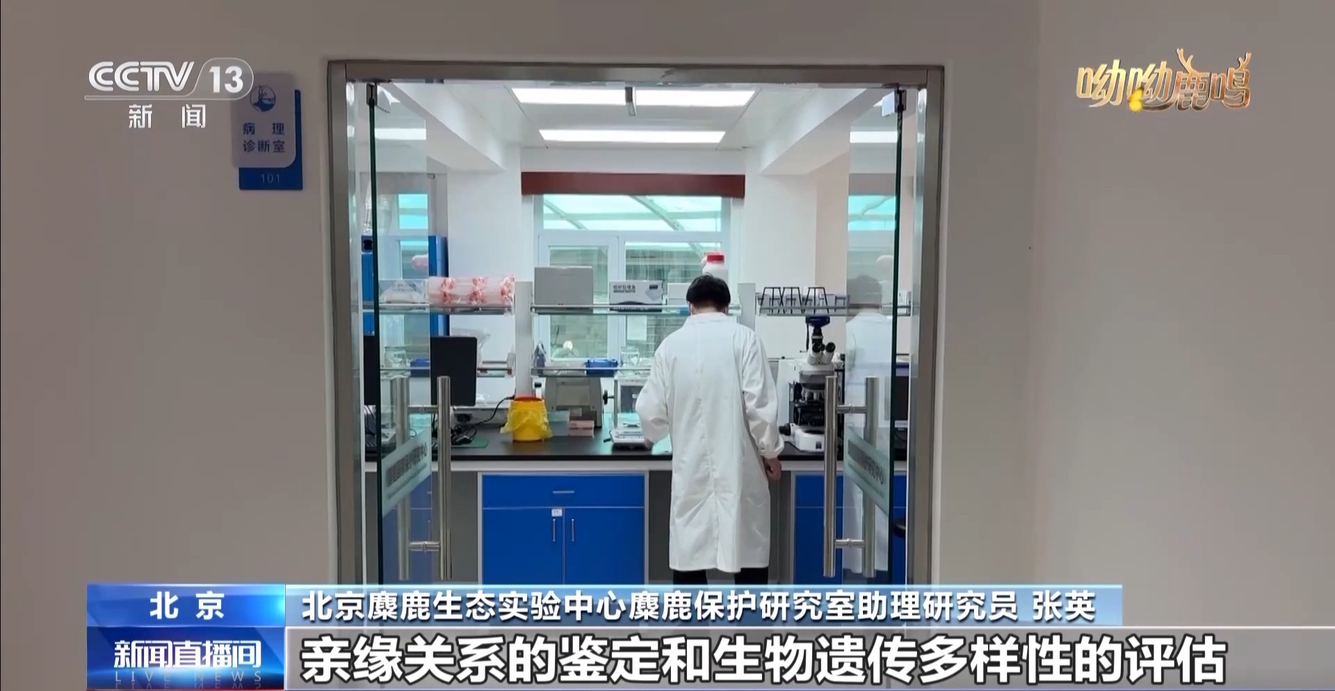 
天津眼科医院黄牛代挂号电话票贩子号贩子网上预约挂号,住院检查加快,科技手段助麋鹿可持续发展 记者实地探访→