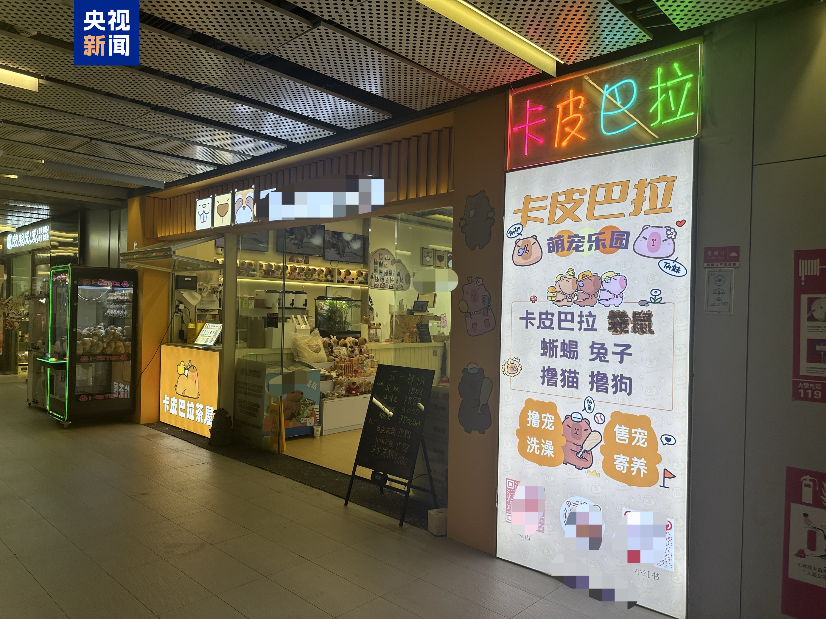 △一家开在商业写字楼一层的“卡皮巴拉茶屋”