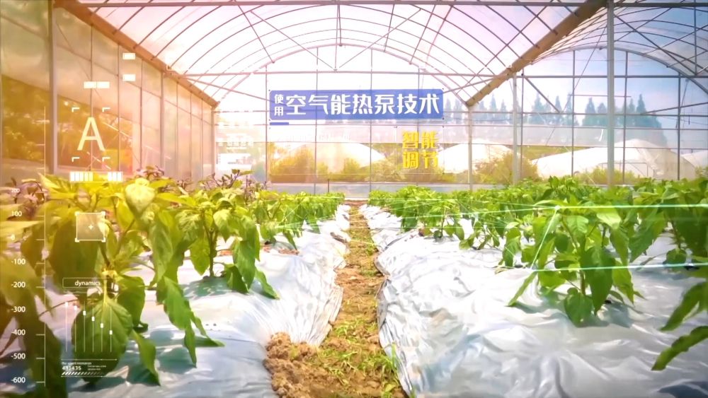 
沈阳医大一院黄牛代挂号电话票贩子号贩子网上预约挂号,住院检查加快,新华视点｜创新驱动 开放共赢：经济高质量发展新图景