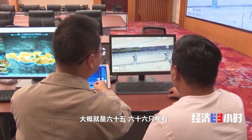 
上海东方医院黄牛号贩子票贩子代网上预约代挂号电话科技浓度不断提升 国家公园装了“千里眼”