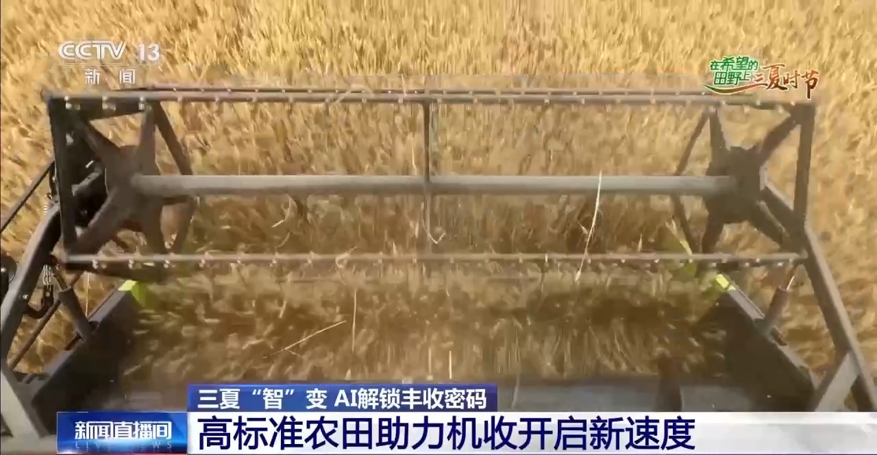 
上海各大医院黄牛代挂号电话票贩子号贩子网上预约挂号,住院检查加快,“三夏”AI智能体带您解锁丰收密码！