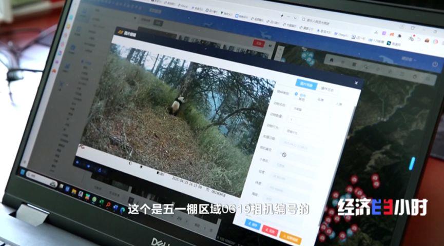 
上海东方医院黄牛号贩子票贩子代网上预约代挂号电话科技浓度不断提升 国家公园装了“千里眼”