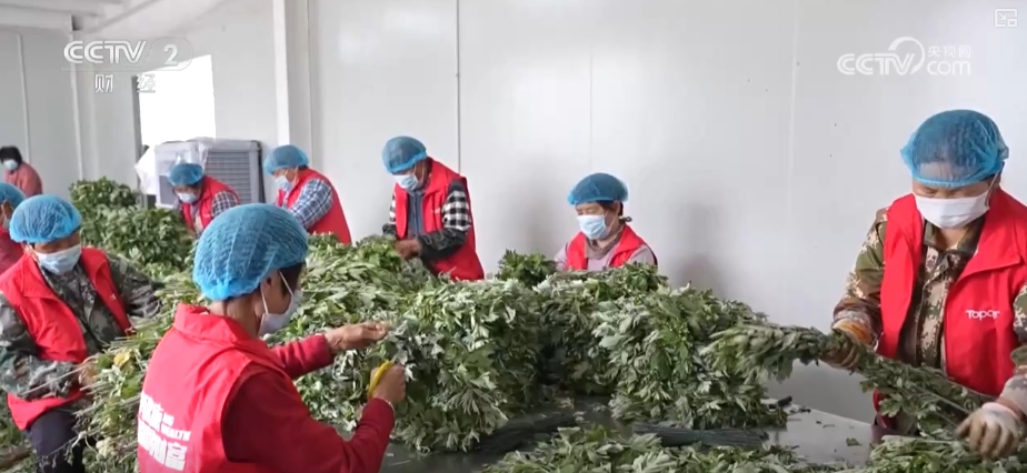 
天津眼科医院黄牛代挂号电话票贩子号贩子网上预约挂号,住院检查加快,端午周边产品产销旺 传统节日新鲜创意撬动经济发展新“引擎”
