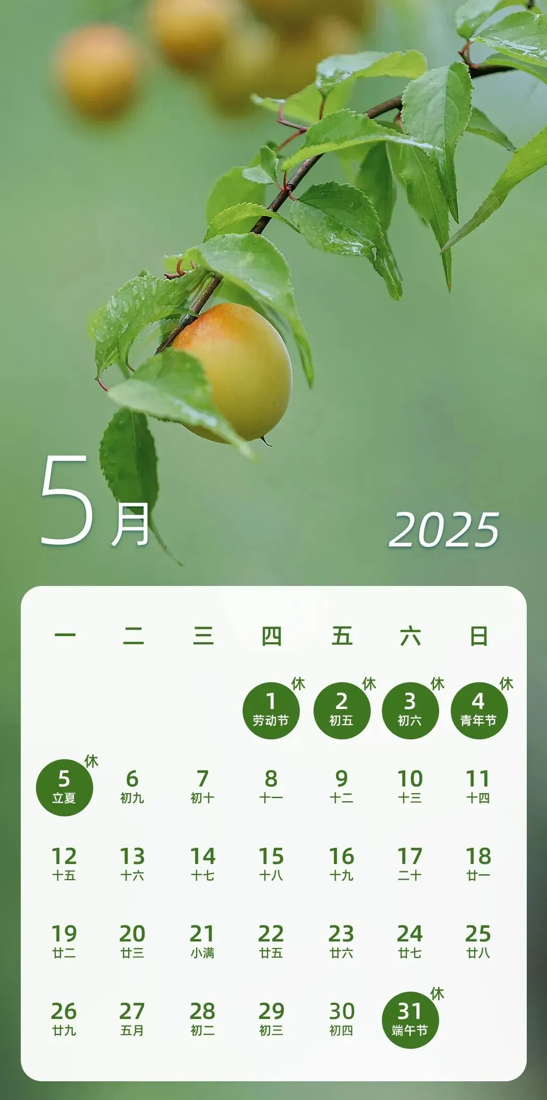 
南京医院黄牛号贩子票贩子代网上预约代挂号电话端午假期连休3天不调休 高速不免费→