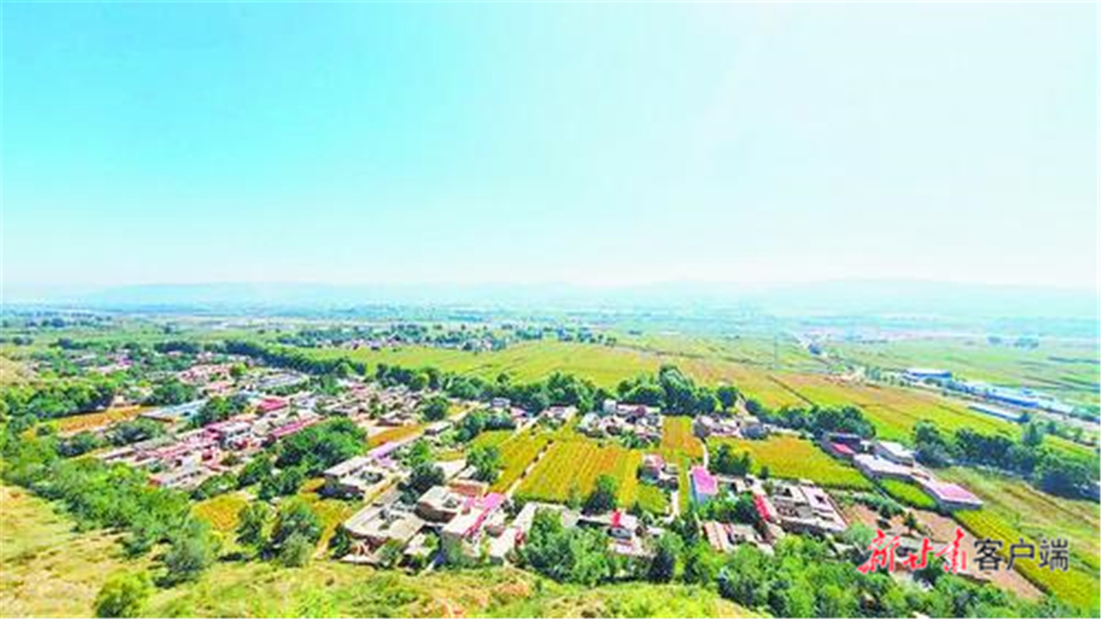 
东部战区总医院黄牛代挂号电话票贩子号贩子网上预约挂号,住院检查加快,【文化中国行】寺洼遗址的故事，从这里开始
