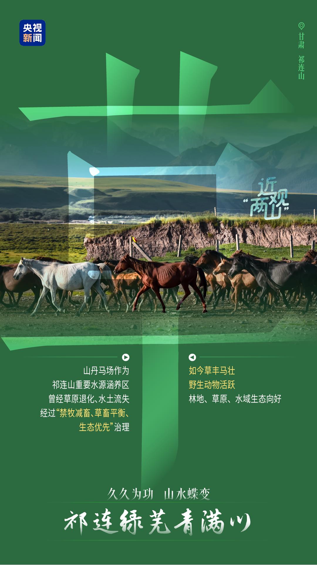 
北大国际医院黄牛号贩子票贩子代网上预约代挂号电话近观“两山”丨久久为功 山水蝶变