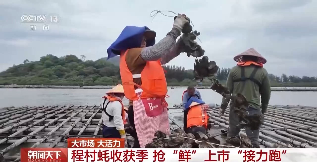 
上海第九人民医院黄牛号贩子票贩子代网上预约代挂号电话大市场 大活力丨“五一”假日餐桌海鲜热度揭秘 生蚝如何抢“鲜”出发？